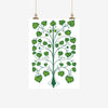 Ali Davies Kawakawa Tea Towel