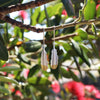 Huia Feather Pendant Earrings