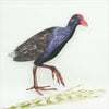 Pukeko Wall Art