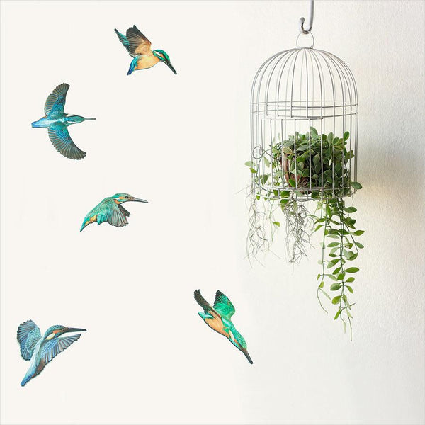 NZ Native Birds Wall Sets - Kotare